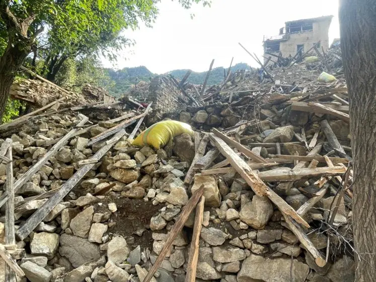 Kurdish PKK fighters plant trees at the Qandil Mountains. Photo by Kurdishstruggle.