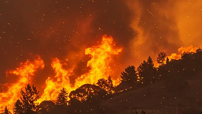 LA wildfire